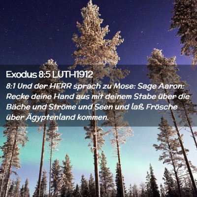 Picture 02 - Exodus 8:5 LUTH1912 - 8:1 Und der HERR sprach zu Mose: Sage Aaron: - Bible Verse Picture