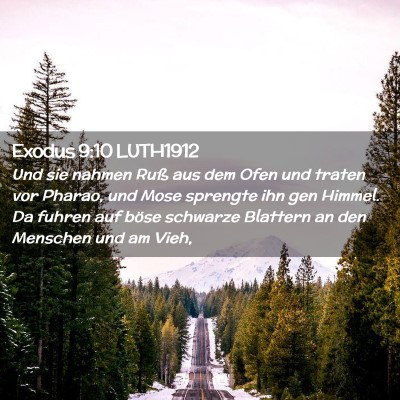 Picture 02 - Exodus 9:10 LUTH1912 - Und sie nahmen Ruß aus dem Ofen und traten vor - Bible Verse Picture