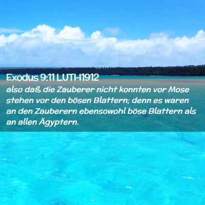 Picture 02 - Exodus 9:11 LUTH1912 - also daß die Zauberer nicht konnten vor Mose - Bible Verse Picture