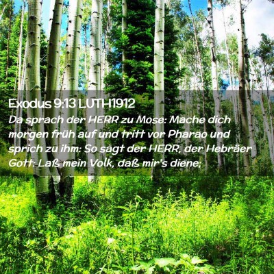 Picture 02 - Exodus 9:13 LUTH1912 - Da sprach der HERR zu Mose: Mache dich morgen - Bible Verse Picture