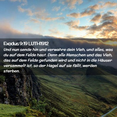 Picture 02 - Exodus 9:19 LUTH1912 - Und nun sende hin und verwahre dein Vieh, und - Bible Verse Picture