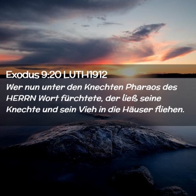 Picture 02 - Exodus 9:20 LUTH1912 - Wer nun unter den Knechten Pharaos des HERRN Wort - Bible Verse Picture
