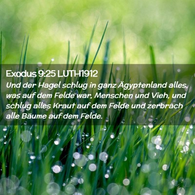 Picture 02 - Exodus 9:25 LUTH1912 - Und der Hagel schlug in ganz Ägyptenland alles, - Bible Verse Picture
