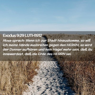 Picture 02 - Exodus 9:29 LUTH1912 - Mose sprach: Wenn ich zur Stadt hinauskomme, so - Bible Verse Picture