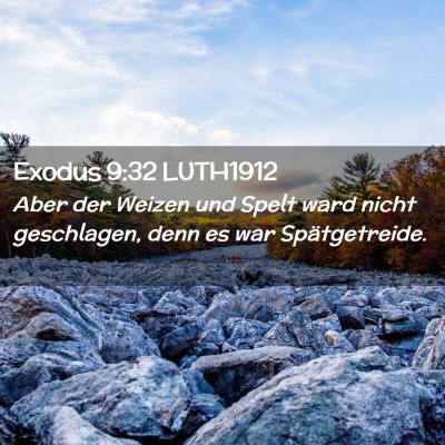 Picture 02 - Exodus 9:32 LUTH1912 - Aber der Weizen und Spelt ward nicht geschlagen, - Bible Verse Picture