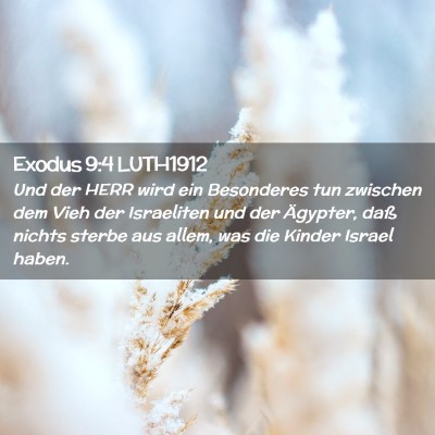 Picture 02 - Exodus 9:4 LUTH1912 - Und der HERR wird ein Besonderes tun zwischen dem - Bible Verse Picture