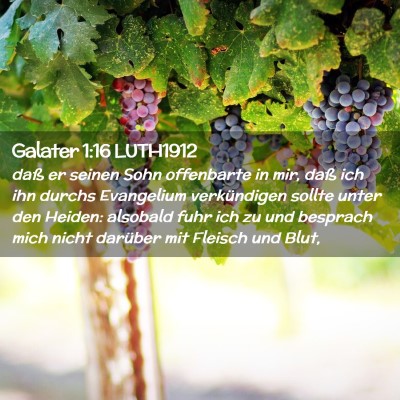 Picture 02 - Galater 1:16 LUTH1912 - daß er seinen Sohn offenbarte in mir, daß ich - Bible Verse Picture
