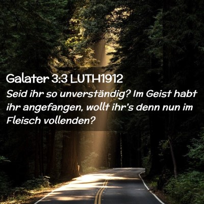 Picture 02 - Galater 3:3 LUTH1912 - Seid ihr so unverständig? Im Geist habt ihr - Bible Verse Picture