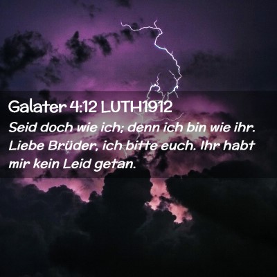Picture 02 - Galater 4:12 LUTH1912 - Seid doch wie ich; denn ich bin wie ihr. Liebe - Bible Verse Picture