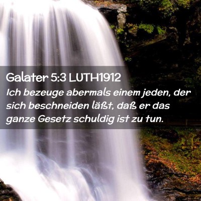 Picture 02 - Galater 5:3 LUTH1912 - Ich bezeuge abermals einem jeden, der sich - Bible Verse Picture