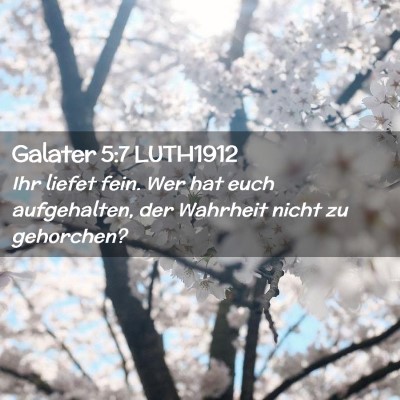 Picture 02 - Galater 5:7 LUTH1912 - Ihr liefet fein. Wer hat euch aufgehalten, der - Bible Verse Picture