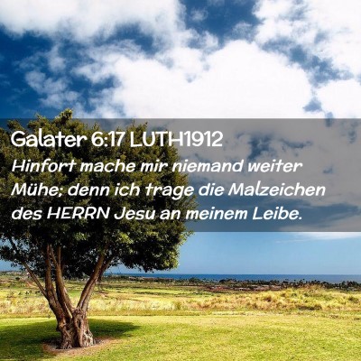 Picture 02 - Galater 6:17 LUTH1912 - Hinfort mache mir niemand weiter Mühe; denn ich - Bible Verse Picture