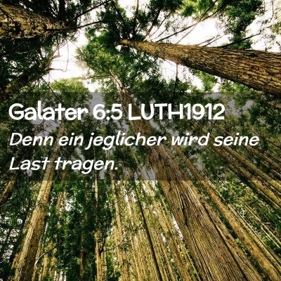 Picture 02 - Galater 6:5 LUTH1912 - Denn ein jeglicher wird seine Last - Bible Verse Picture