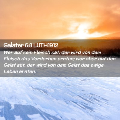 Picture 02 - Galater 6:8 LUTH1912 - Wer auf sein Fleisch sät, der wird von dem - Bible Verse Picture