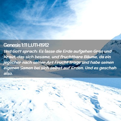 Picture 02 - Genesis 1:11 LUTH1912 - Und Gott sprach: Es lasse die Erde aufgehen Gras - Bible Verse Picture