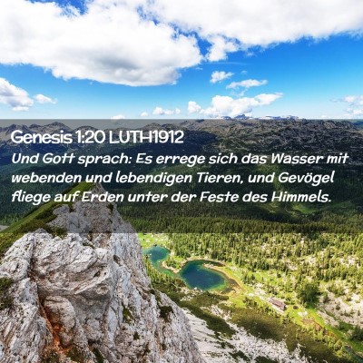 Picture 02 - Genesis 1:20 LUTH1912 - Und Gott sprach: Es errege sich das Wasser mit - Bible Verse Picture