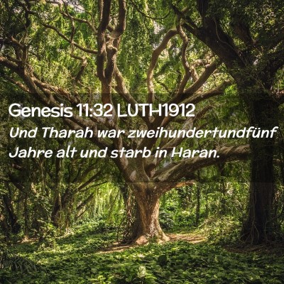 Picture 02 - Genesis 11:32 LUTH1912 - Und Tharah war zweihundertundfünf Jahre alt und - Bible Verse Picture