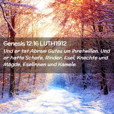 Picture 02 - Genesis 12:16 LUTH1912 - Und er tat Abram Gutes um ihretwillen. Und er - Bible Verse Picture