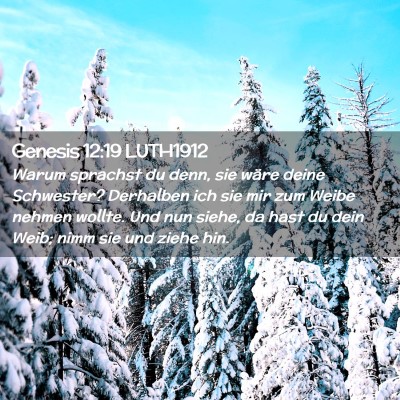 Picture 02 - Genesis 12:19 LUTH1912 - Warum sprachst du denn, sie wäre deine - Bible Verse Picture
