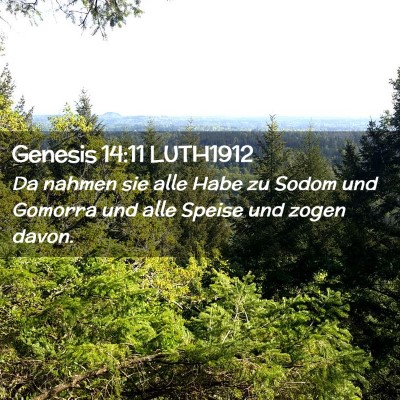 Picture 02 - Genesis 14:11 LUTH1912 - Da nahmen sie alle Habe zu Sodom und Gomorra und - Bible Verse Picture