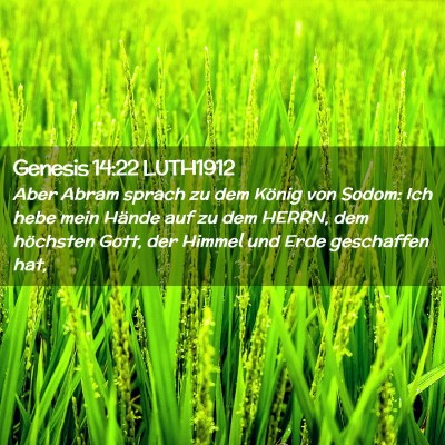 Picture 02 - Genesis 14:22 LUTH1912 - Aber Abram sprach zu dem König von Sodom: Ich - Bible Verse Picture