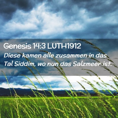 Picture 02 - Genesis 14:3 LUTH1912 - Diese kamen alle zusammen in das Tal Siddim, wo - Bible Verse Picture