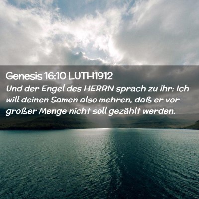 Picture 02 - Genesis 16:10 LUTH1912 - Und der Engel des HERRN sprach zu ihr: Ich will - Bible Verse Picture