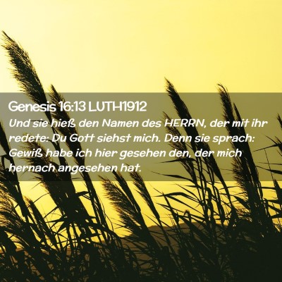 Picture 02 - Genesis 16:13 LUTH1912 - Und sie hieß den Namen des HERRN, der mit ihr - Bible Verse Picture