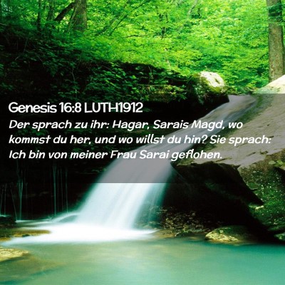 Picture 02 - Genesis 16:8 LUTH1912 - Der sprach zu ihr: Hagar, Sarais Magd, wo kommst - Bible Verse Picture