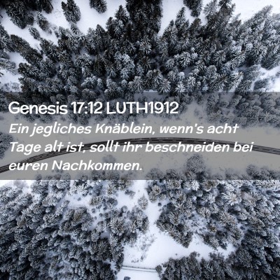 Picture 02 - Genesis 17:12 LUTH1912 - Ein jegliches Knäblein, wenn's acht Tage alt - Bible Verse Picture