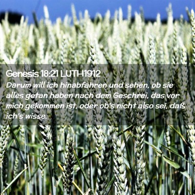 Picture 02 - Genesis 18:21 LUTH1912 - Darum will ich hinabfahren und sehen, ob sie - Bible Verse Picture