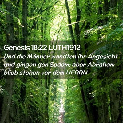 Picture 02 - Genesis 18:22 LUTH1912 - Und die Männer wandten ihr Angesicht und gingen - Bible Verse Picture