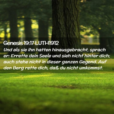 Picture 02 - Genesis 19:17 LUTH1912 - Und als sie ihn hatten hinausgebracht, sprach er: - Bible Verse Picture
