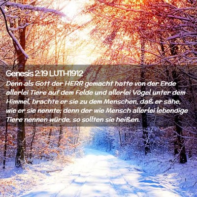 Picture 02 - Genesis 2:19 LUTH1912 - Denn als Gott der HERR gemacht hatte von der Erde - Bible Verse Picture