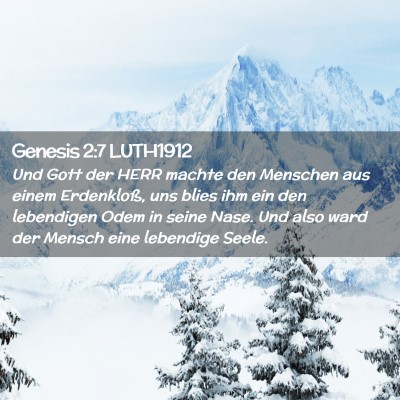 Picture 02 - Genesis 2:7 LUTH1912 - Und Gott der HERR machte den Menschen aus einem - Bible Verse Picture
