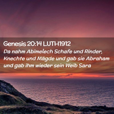 Picture 02 - Genesis 20:14 LUTH1912 - Da nahm Abimelech Schafe und Rinder, Knechte und - Bible Verse Picture