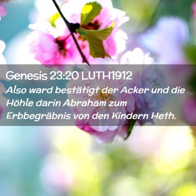 Picture 02 - Genesis 23:20 LUTH1912 - Also ward bestätigt der Acker und die Höhle - Bible Verse Picture