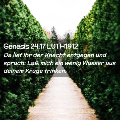 Picture 02 - Genesis 24:17 LUTH1912 - Da lief ihr der Knecht entgegen und sprach: Laß - Bible Verse Picture