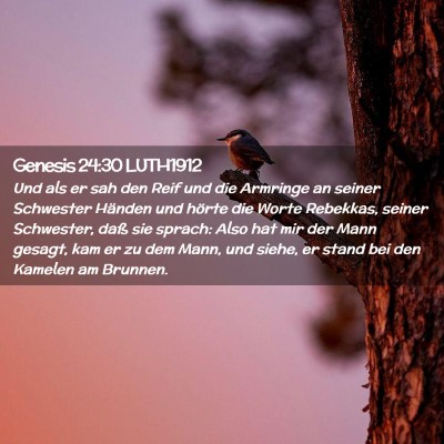 Picture 02 - Genesis 24:30 LUTH1912 - Und als er sah den Reif und die Armringe an - Bible Verse Picture