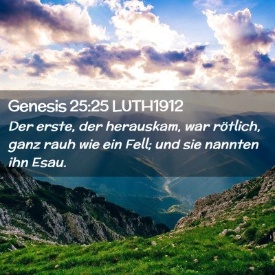 Picture 02 - Genesis 25:25 LUTH1912 - Der erste, der herauskam, war rötlich, ganz rauh - Bible Verse Picture
