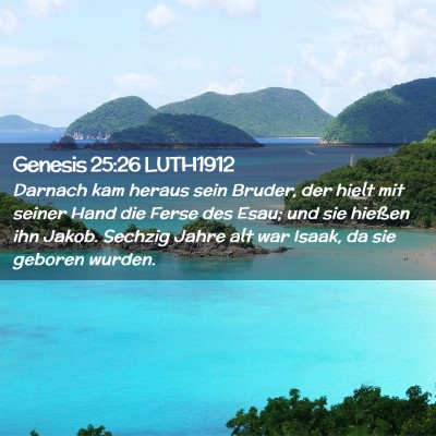 Picture 02 - Genesis 25:26 LUTH1912 - Darnach kam heraus sein Bruder, der hielt mit - Bible Verse Picture