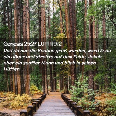 Picture 02 - Genesis 25:27 LUTH1912 - Und da nun die Knaben groß wurden, ward Esau ein - Bible Verse Picture