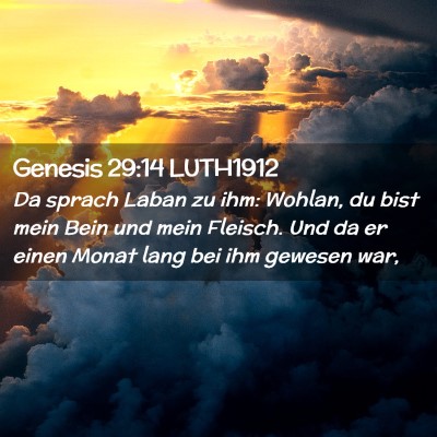 Picture 02 - Genesis 29:14 LUTH1912 - Da sprach Laban zu ihm: Wohlan, du bist mein Bein - Bible Verse Picture