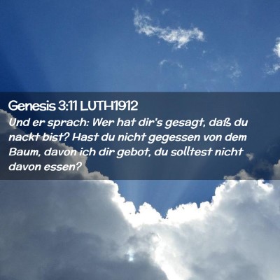 Picture 02 - Genesis 3:11 LUTH1912 - Und er sprach: Wer hat dir's gesagt, daß du - Bible Verse Picture