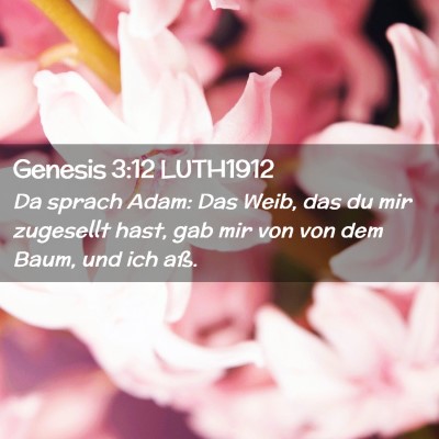 Picture 02 - Genesis 3:12 LUTH1912 - Da sprach Adam: Das Weib, das du mir zugesellt - Bible Verse Picture