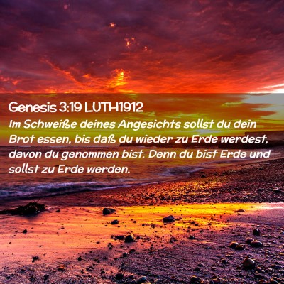Picture 02 - Genesis 3:19 LUTH1912 - Im Schweiße deines Angesichts sollst du dein - Bible Verse Picture