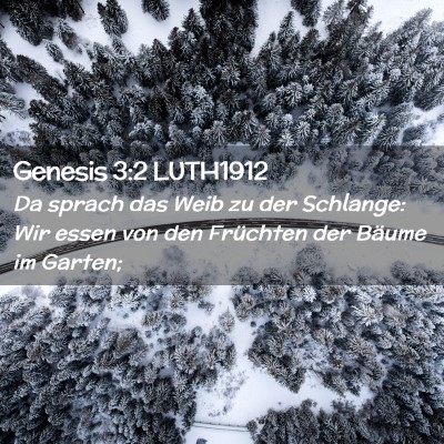 Picture 02 - Genesis 3:2 LUTH1912 - Da sprach das Weib zu der Schlange: Wir essen von - Bible Verse Picture