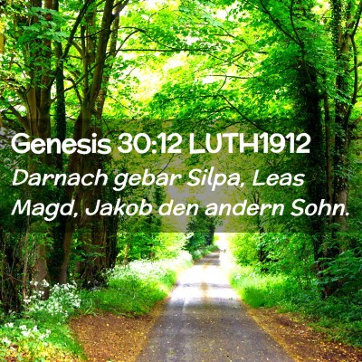 Picture 02 - Genesis 30:12 LUTH1912 - Darnach gebar Silpa, Leas Magd, Jakob den andern - Bible Verse Picture