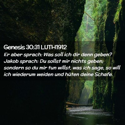 Picture 02 - Genesis 30:31 LUTH1912 - Er aber sprach: Was soll ich dir denn geben? - Bible Verse Picture
