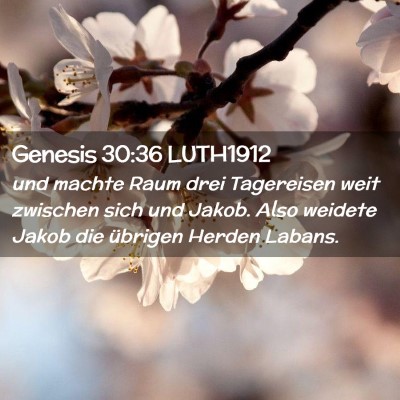 Picture 02 - Genesis 30:36 LUTH1912 - und machte Raum drei Tagereisen weit zwischen - Bible Verse Picture